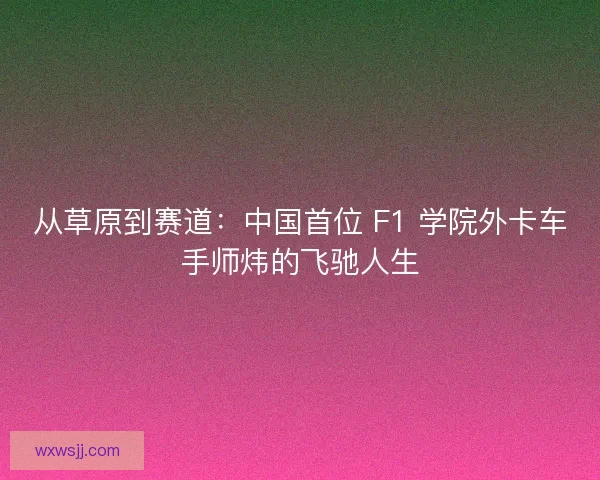 从草原到赛道：中国首位 F1 学院外卡车手师炜的飞驰人生