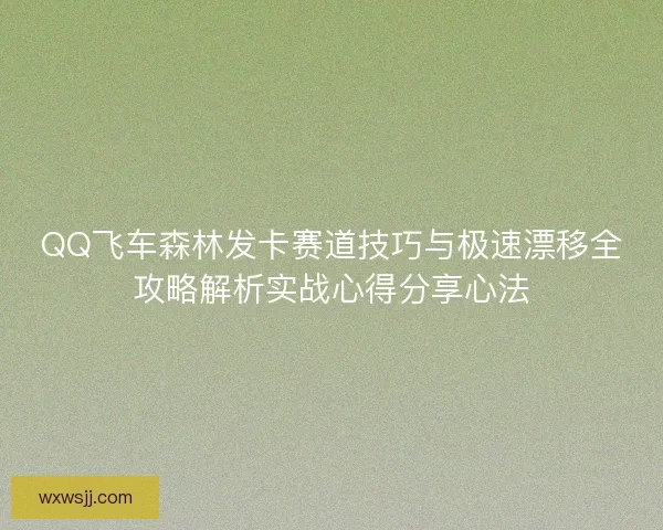 QQ飞车森林发卡赛道技巧与极速漂移全攻略解析实战心得分享心法
