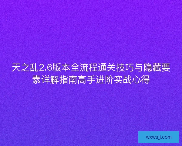天之乱2.6版本全流程通关技巧与隐藏要素详解指南高手进阶实战心得