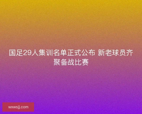 国足29人集训名单正式公布 新老球员齐聚备战比赛