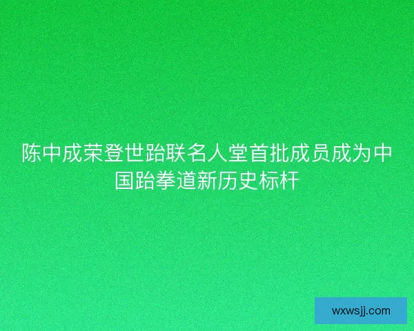 陈中成荣登世跆联名人堂首批成员成为中国跆拳道新历史标杆