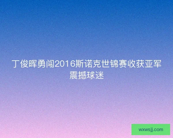 丁俊晖勇闯2016斯诺克世锦赛收获亚军震撼球迷